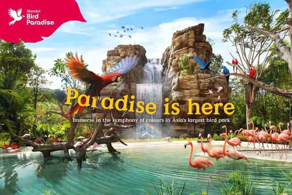 Mandai Bird Paradise Singapore